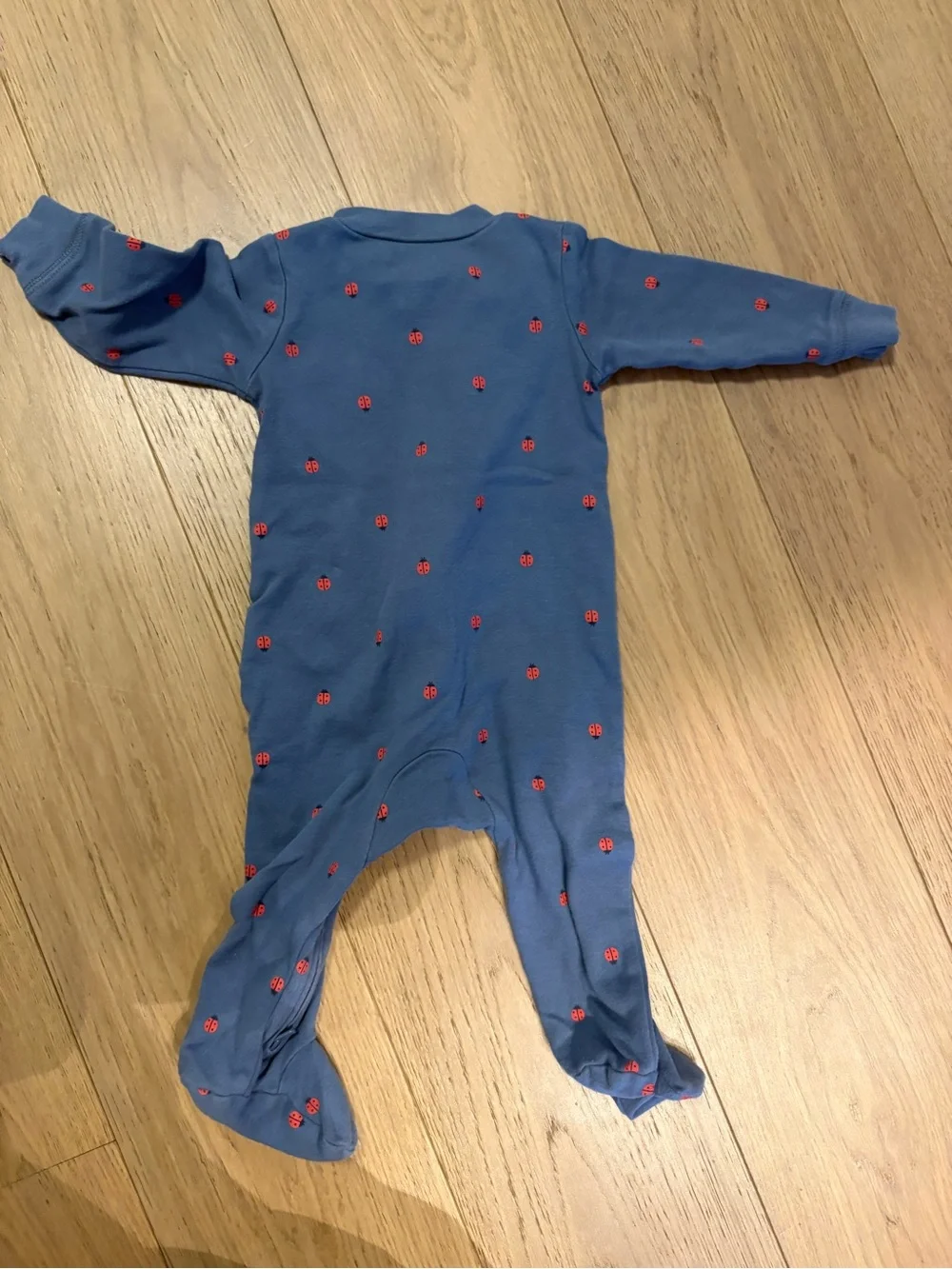 Carter’s lady bug printer pajama - size 9 months